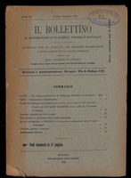 Bollettino__1902_annoIV_1000.tif.jpg