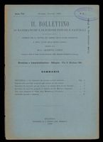 Bollettino__1906_1000.tif.jpg