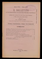 Bollettino__1907_5_6000.tif.jpg