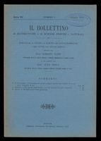 Bollettino_1914_3000.tif.jpg