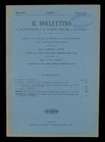 Bollettino_1914_7000.tif.jpg