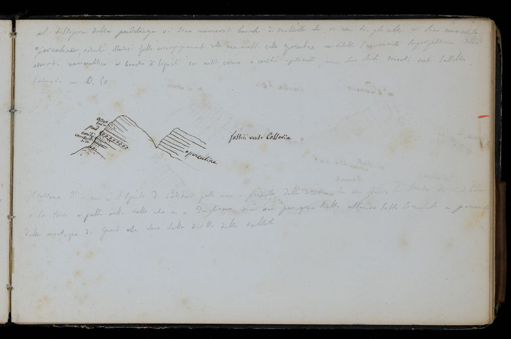 [Quaderno di campagna n. 3]