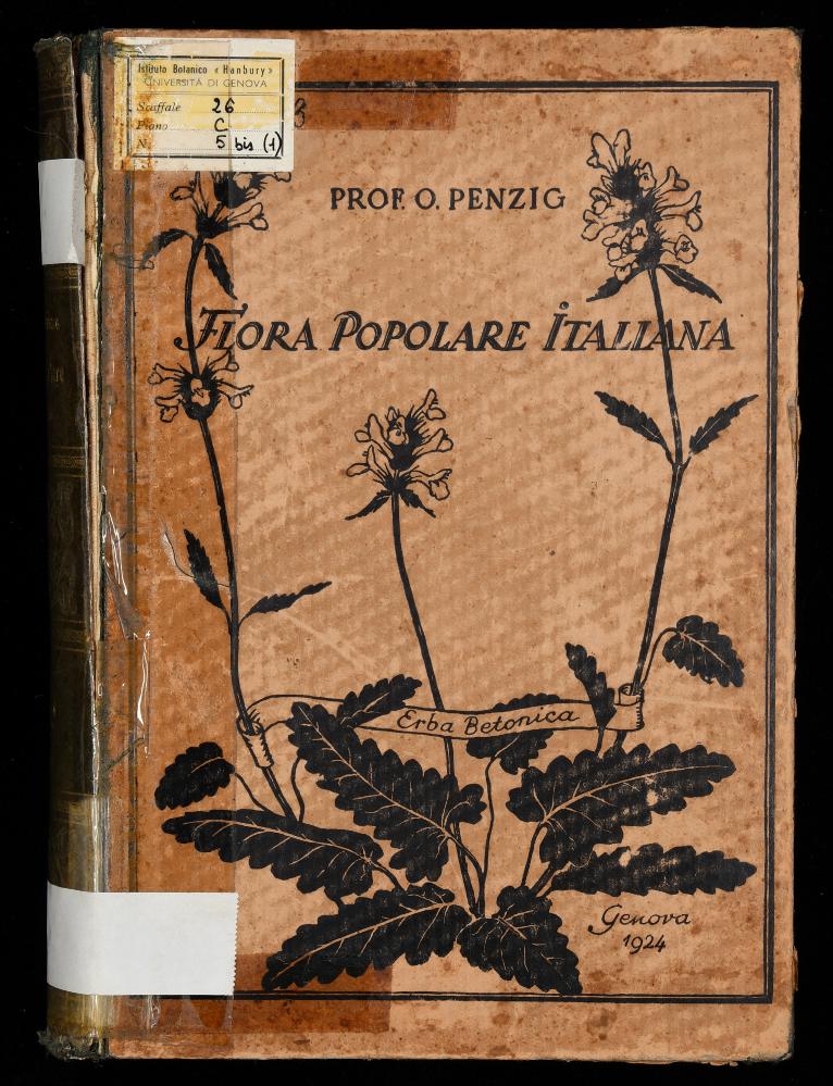 Flora popolare italiana. Raccolta dei nomi dialettali delle principali piante indigene e coltivate in Italia. Volume 1